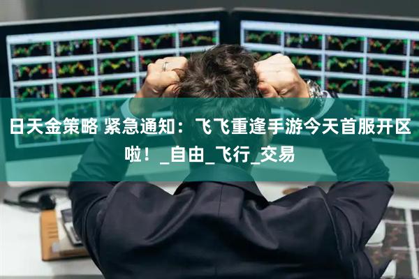 日天金策略 紧急通知：飞飞重逢手游今天首服开区啦！_自由_飞行_交易