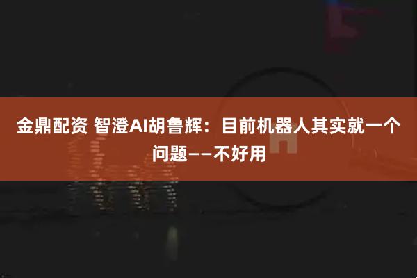 金鼎配资 智澄AI胡鲁辉：目前机器人其实就一个问题——不好用