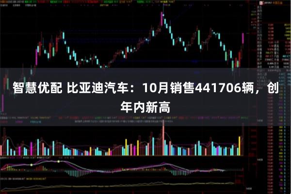 智慧优配 比亚迪汽车：10月销售441706辆，创年内新高